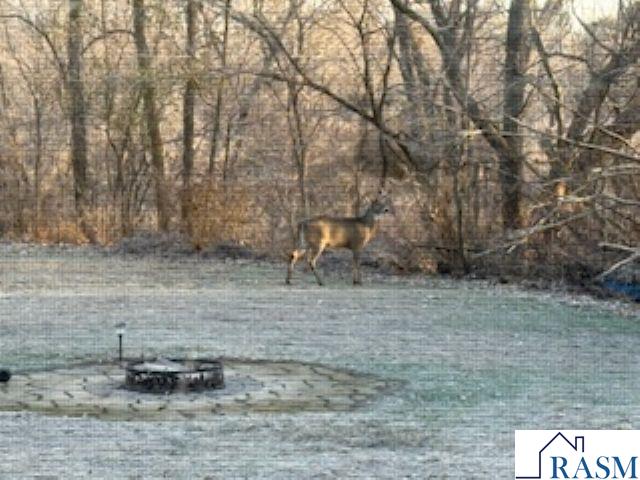 61480 154th Lane Mapleton MN 56065 7039674 image37