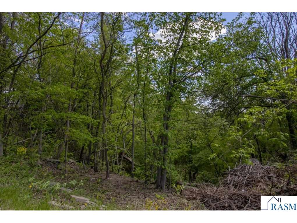 61785 Sunset Lane New Ulm MN 56073 7040245 image46