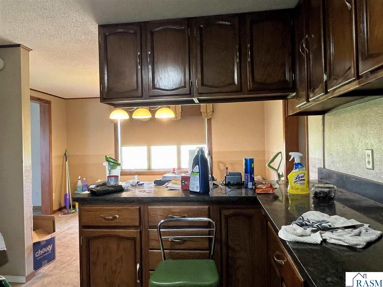 67490 425th Street Odin MN 56160 267040599 image17