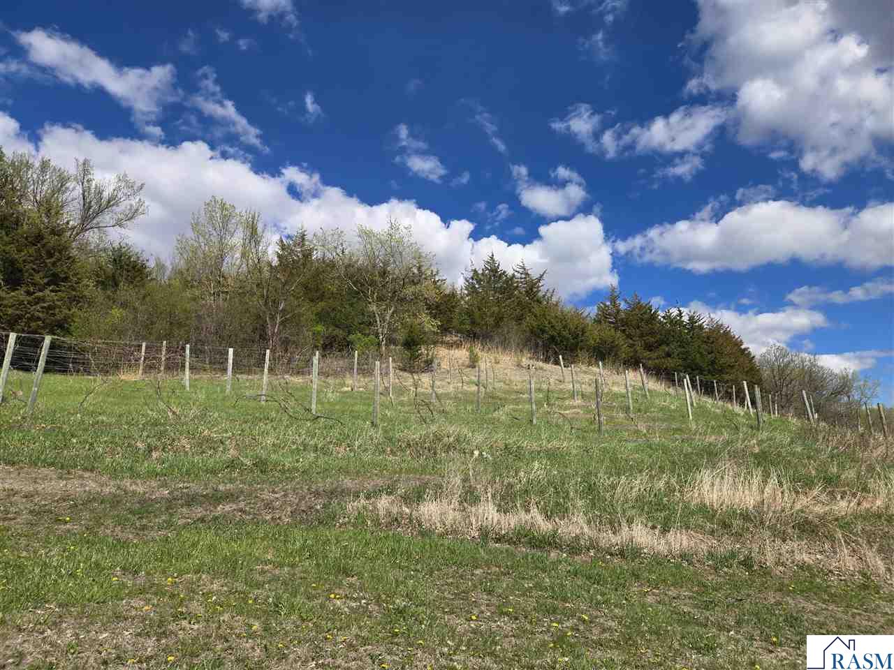 69194 County Road 21 Fairfax MN 55332 7040119 image26