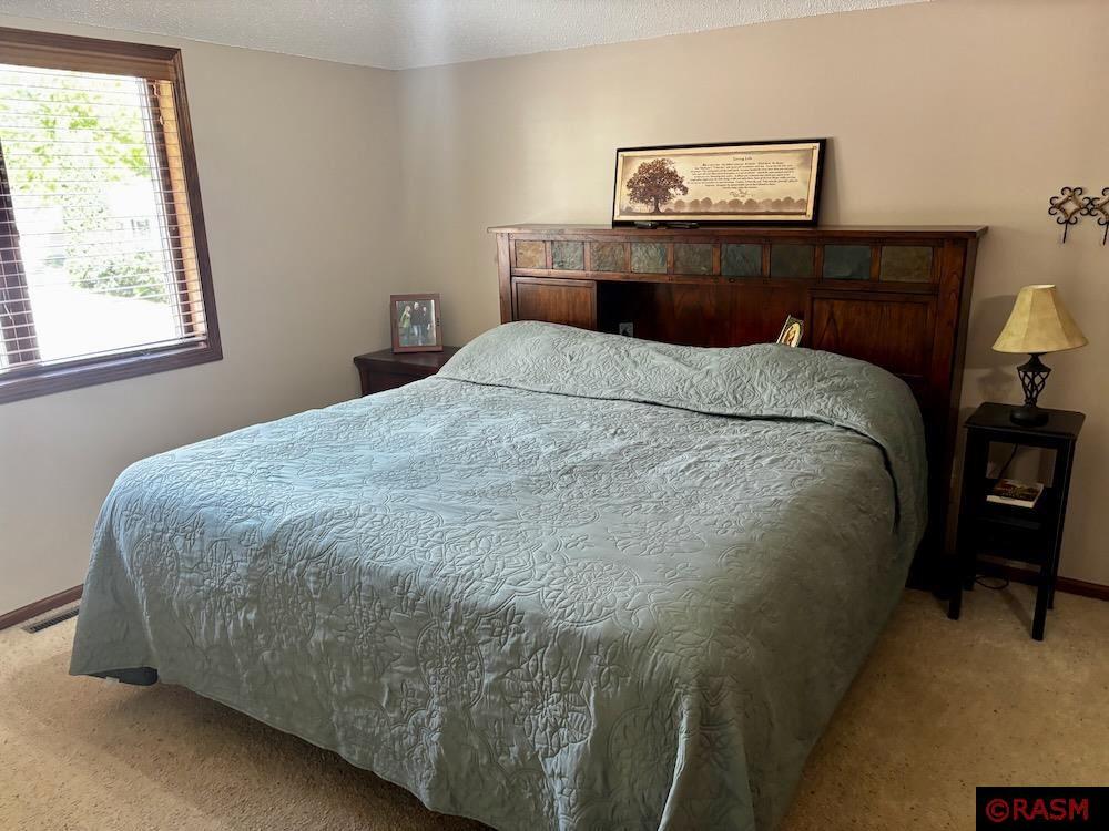 720 W Madison Street Saint Peter MN 56082 7038509 image17