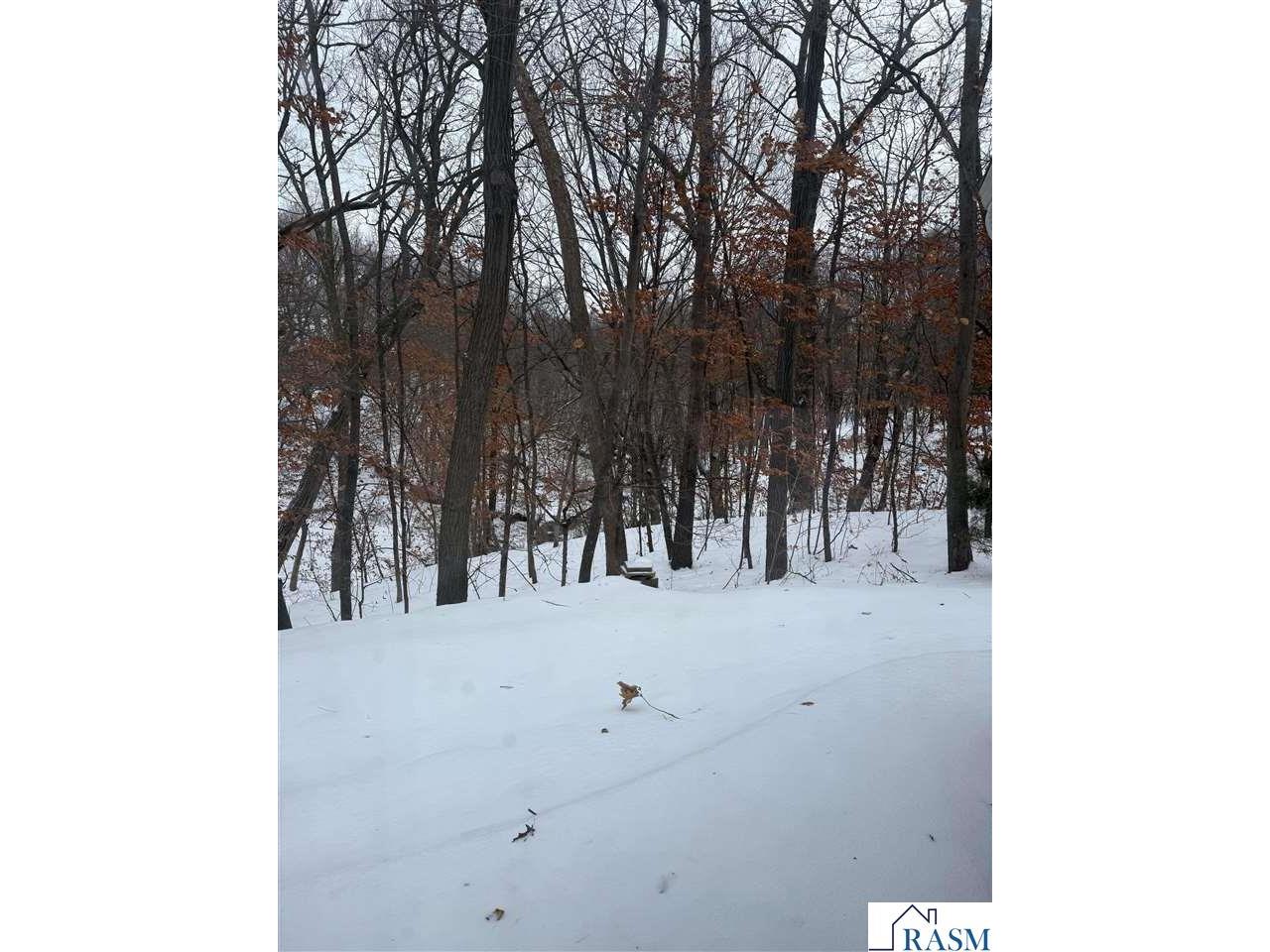 74 Cree Point Drive Mankato MN 56001 7039188 image23