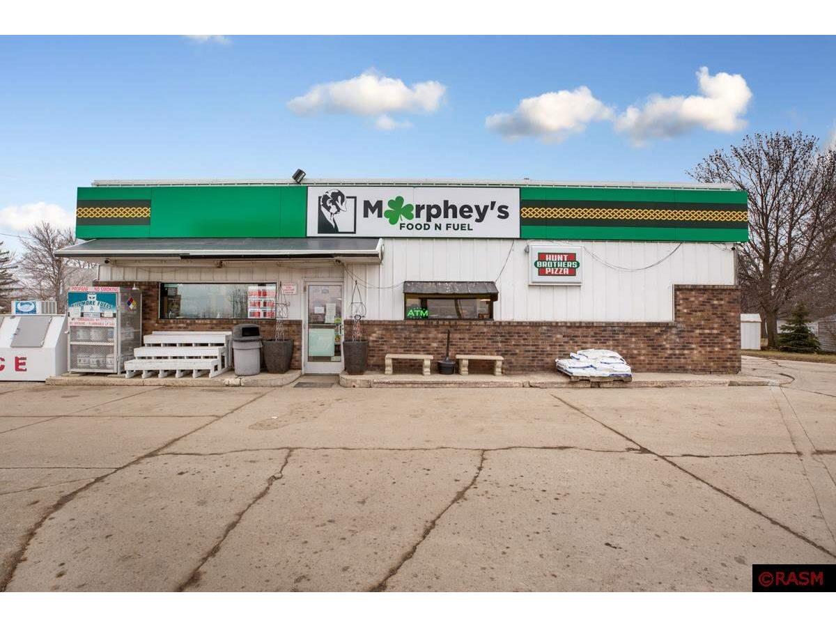 867 State 22 Highway Minnesota Lake MN 56068 7034179 image1