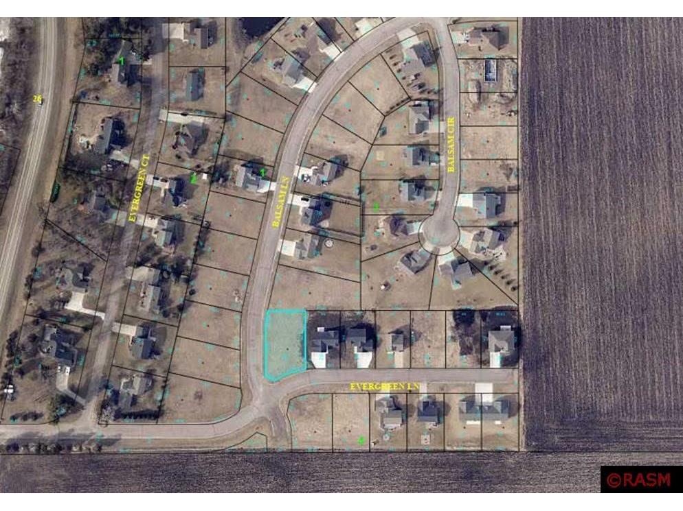 91 Balsam Lane Madison Lake MN 56063 7031935 image1