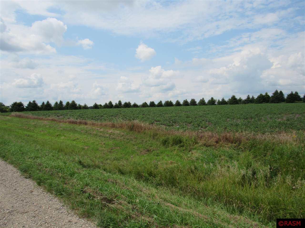 95th Street Blue Earth MN 56013 7035666 image1