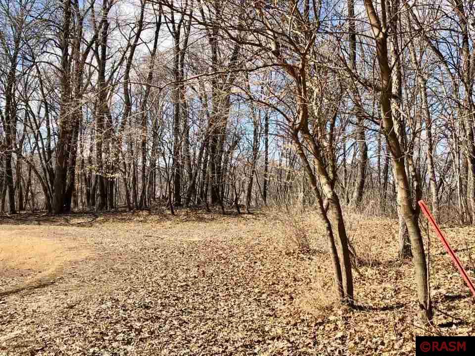 TBD 192nd Lane Lake Crystal MN 56055 7029374 image1