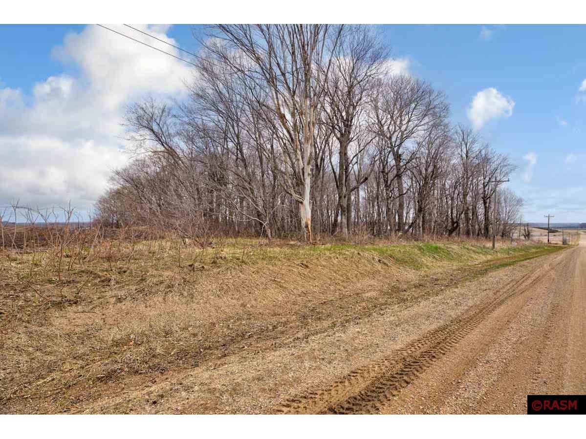 TBD 340th Street Montgomery MN 56069 7032101 image1