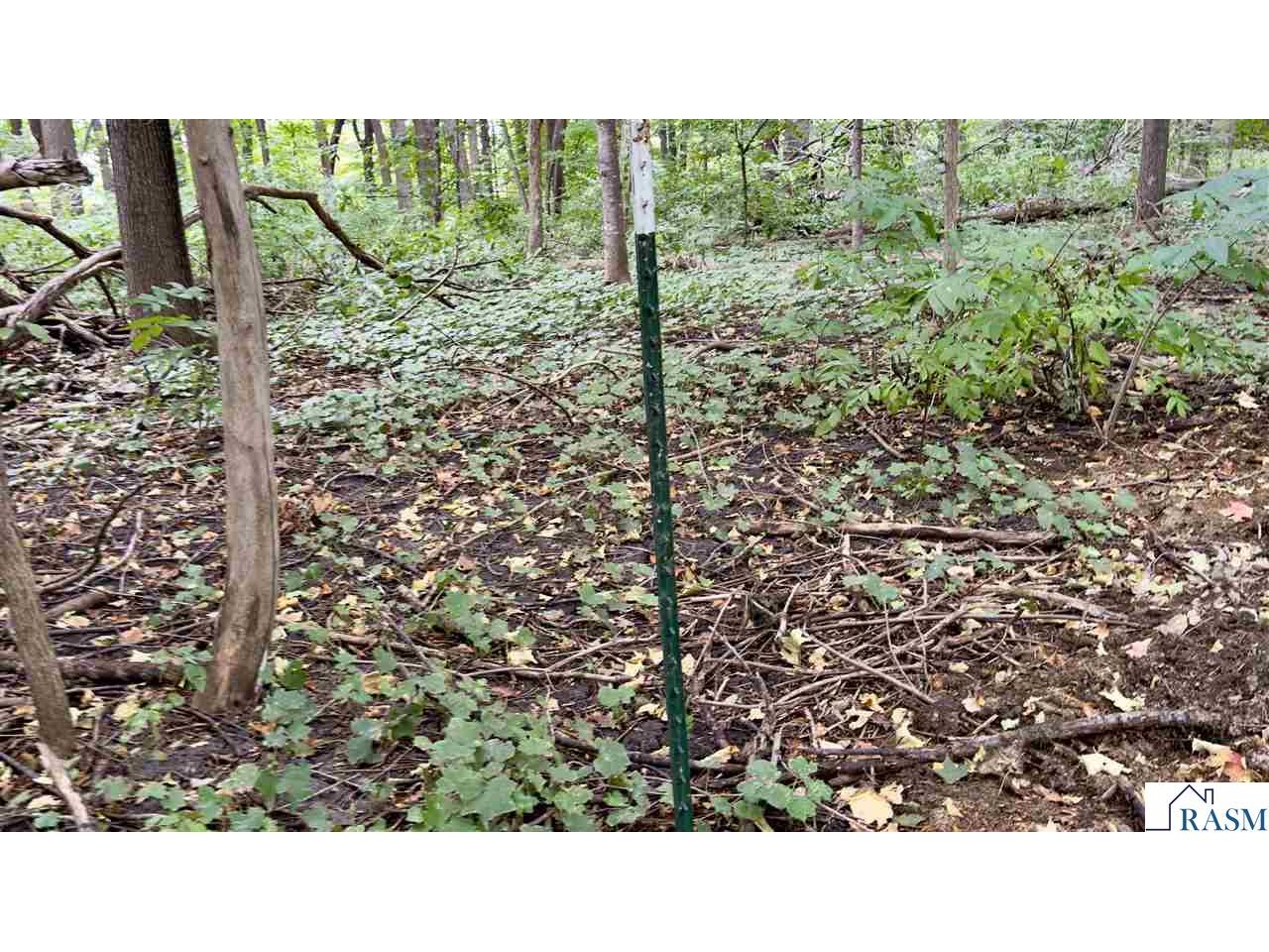 TBD Cape Horn Road Cleveland MN 56017 7038764 image1