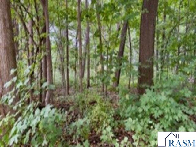 TBD Cape Horn Road Cleveland MN 56017 7038765 image3