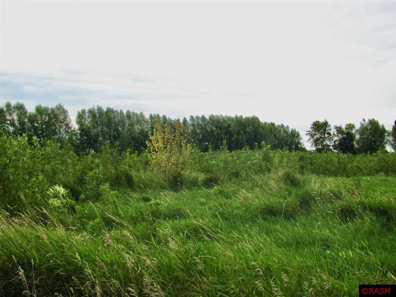 TBD County Rd 20 Hanska MN 56041 - Hanska 7038335 image10