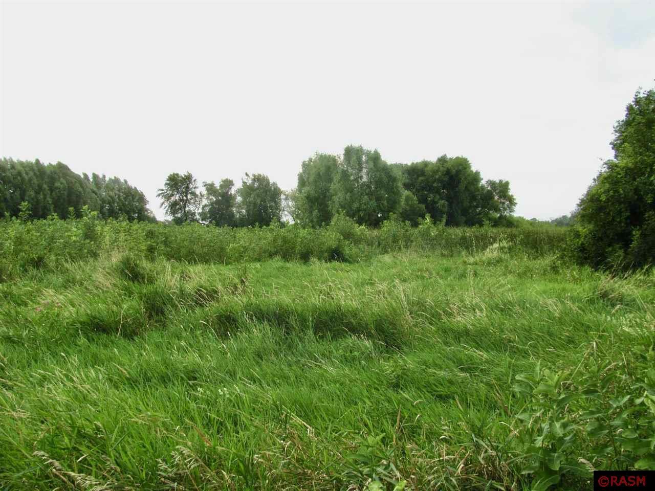 TBD County Rd 20 Hanska MN 56041 - Hanska 7038335 image11