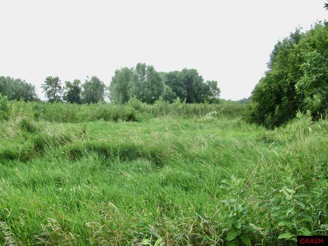 TBD County Rd 20 Hanska MN 56041 - Hanska 7038335 image12
