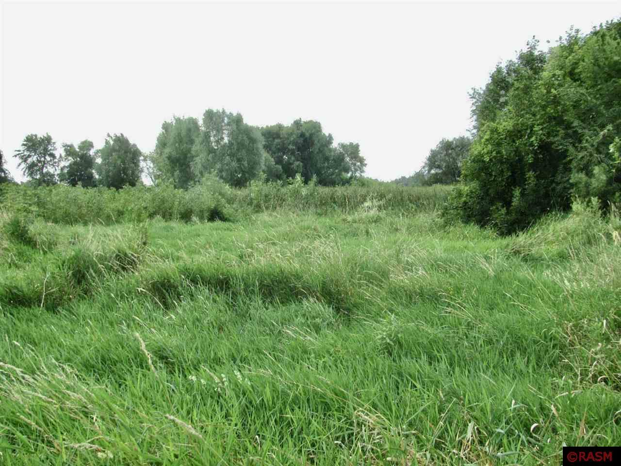 TBD County Rd 20 Hanska MN 56041 - Hanska 7038335 image8