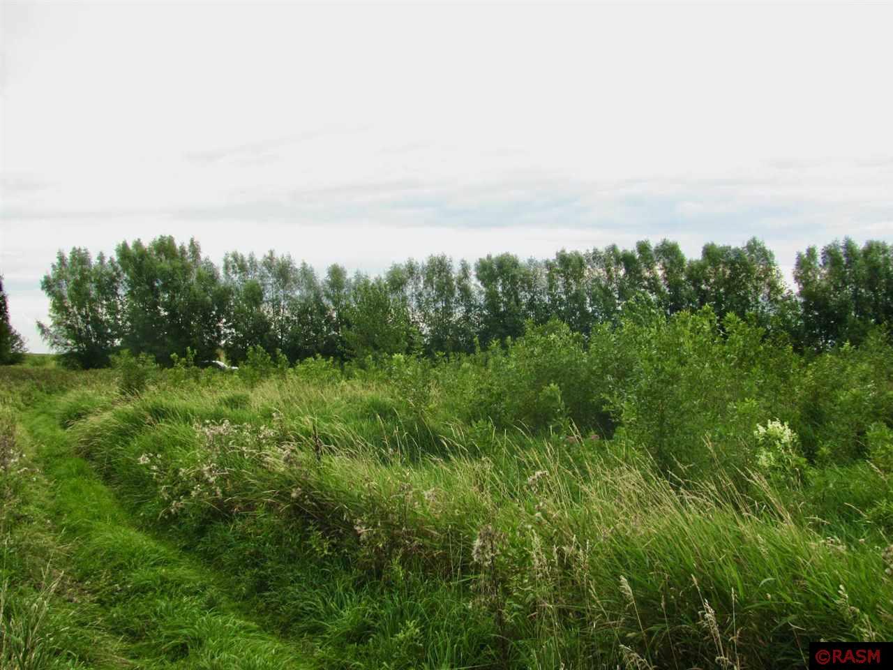 TBD County Rd 20 Hanska MN 56041 - Hanska 7038335 image9