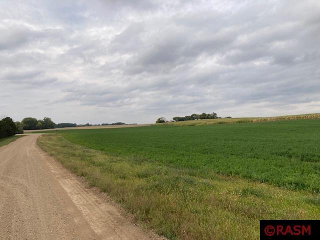 Lot 2 135th Street Hanska MN 56041 7033397 image4