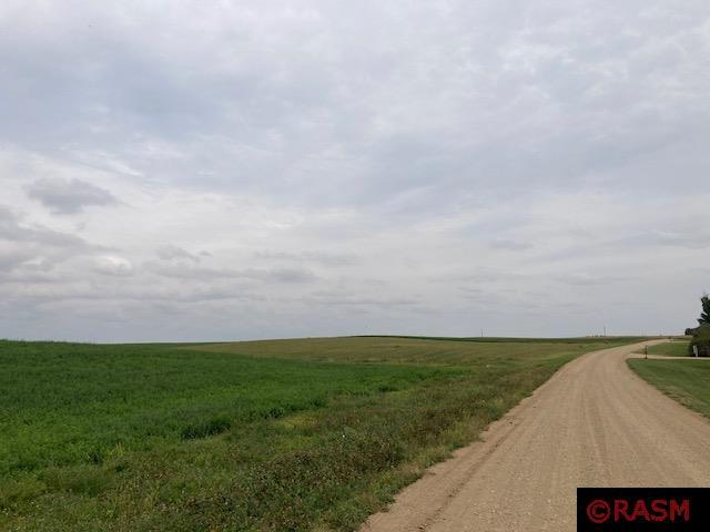 Lot 2 135th Street Hanska MN 56041 7033397 image8