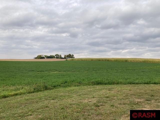 Lot 4 135th Street Hanska MN 56041 7033398 image6