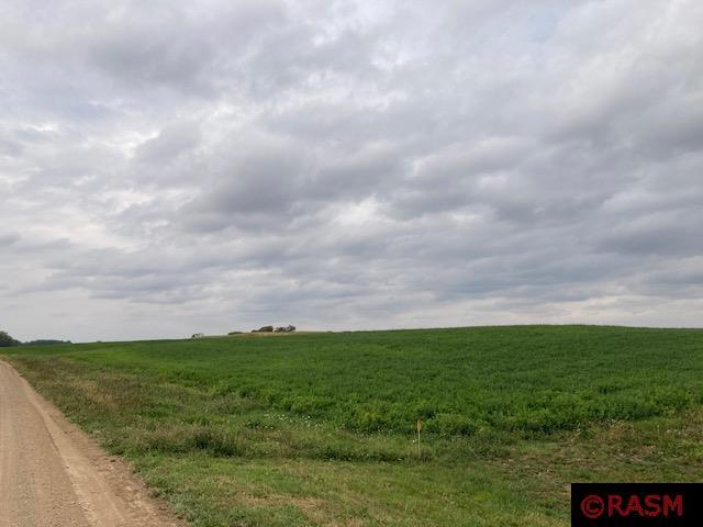 Lot 6 135th Street Hanska MN 56041 7033400 image3