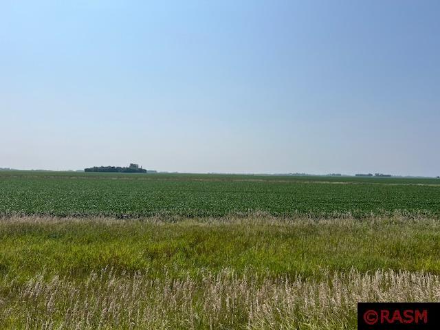 TBD Highway 109 Wells MN 56097 7035710 image1