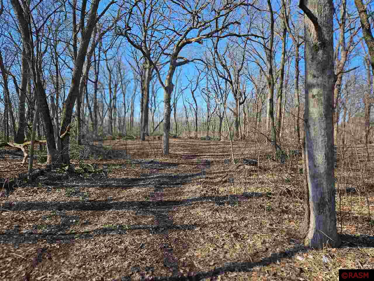 TBD Lemond Road Ellendale MN 56026 7034677 image1