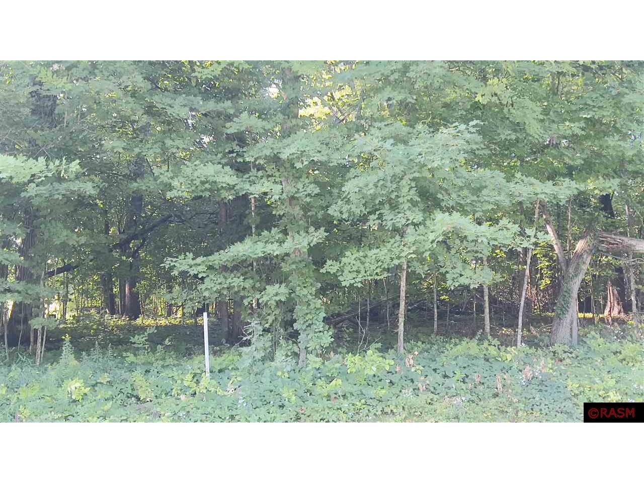 TBD Maple Lane Madison Lake MN 56063 7033317 image1