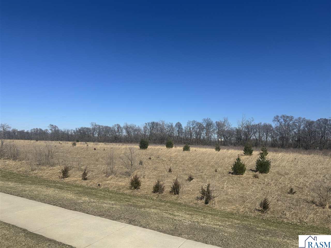 TBD N Nicollet Avenue Saint Peter MN 56082 7039831 image1
