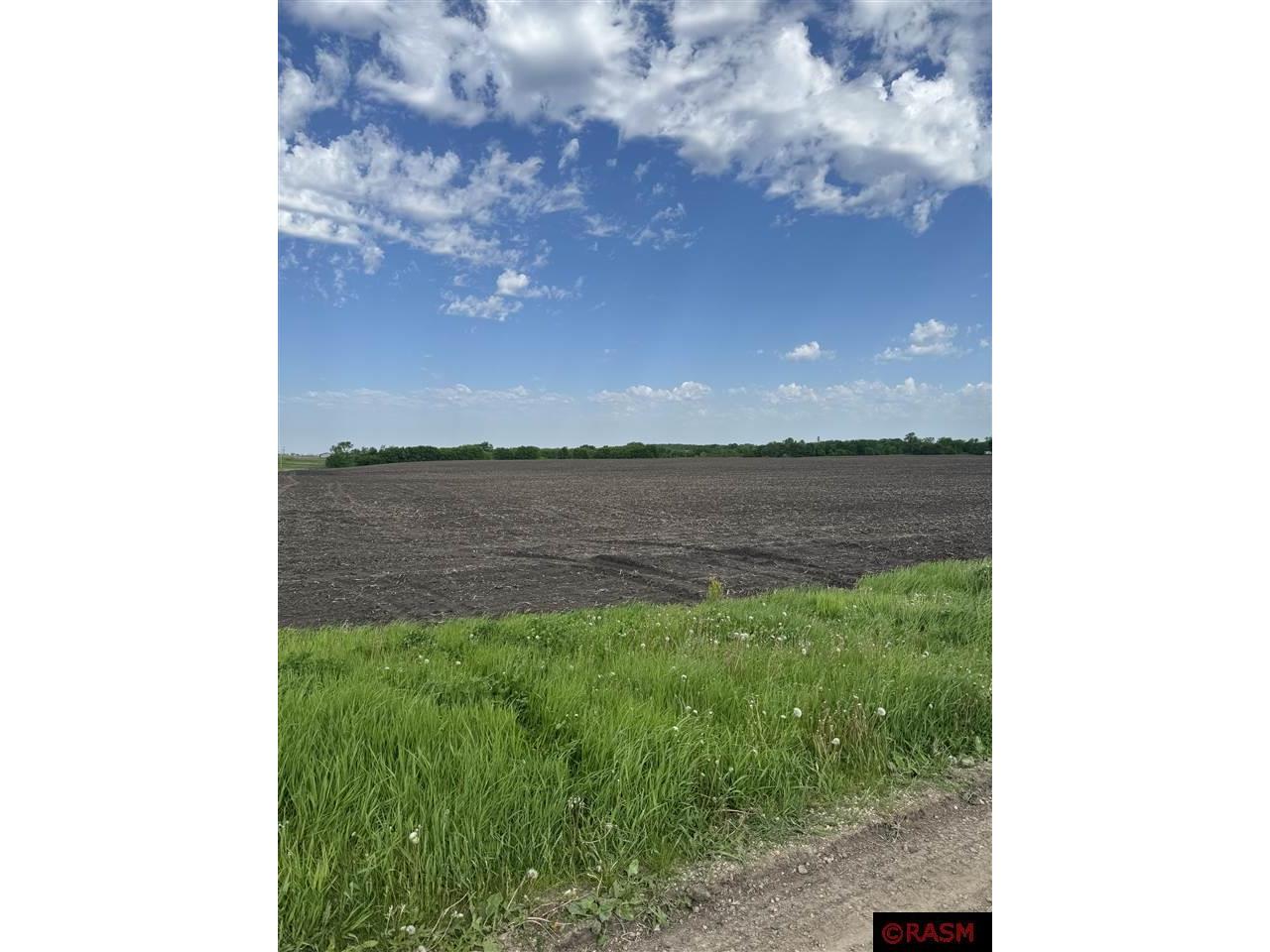 TBD S 60 Highway Mankato MN 56001 7037995 image3