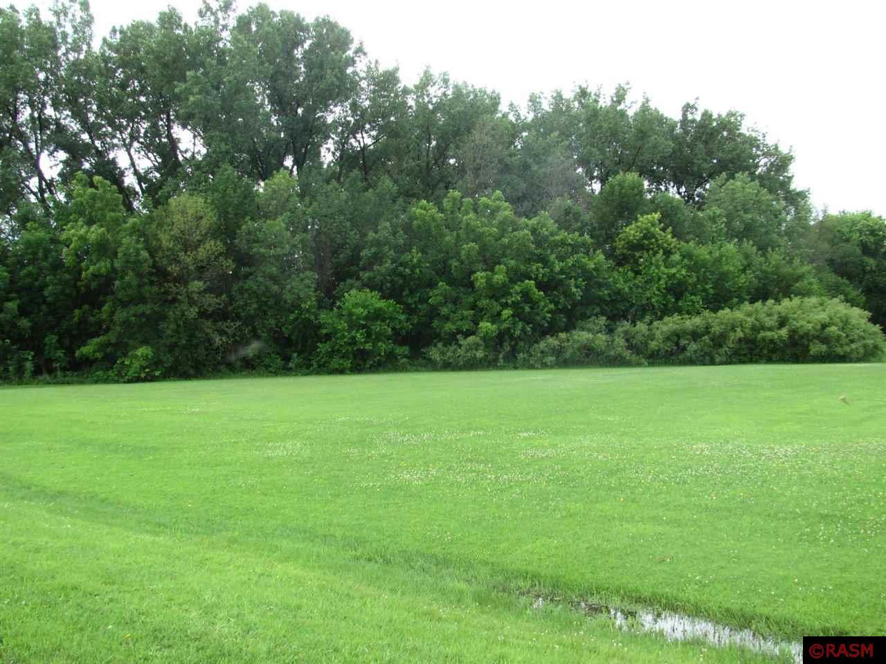 TBD S Third Street Butterfield MN 56120 7038052 image3