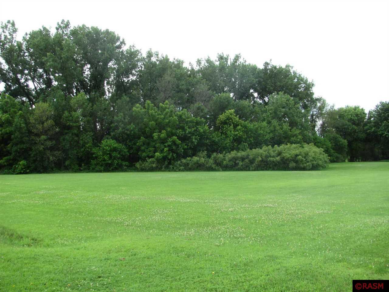 TBD S Third Street Butterfield MN 56120 7038052 image4