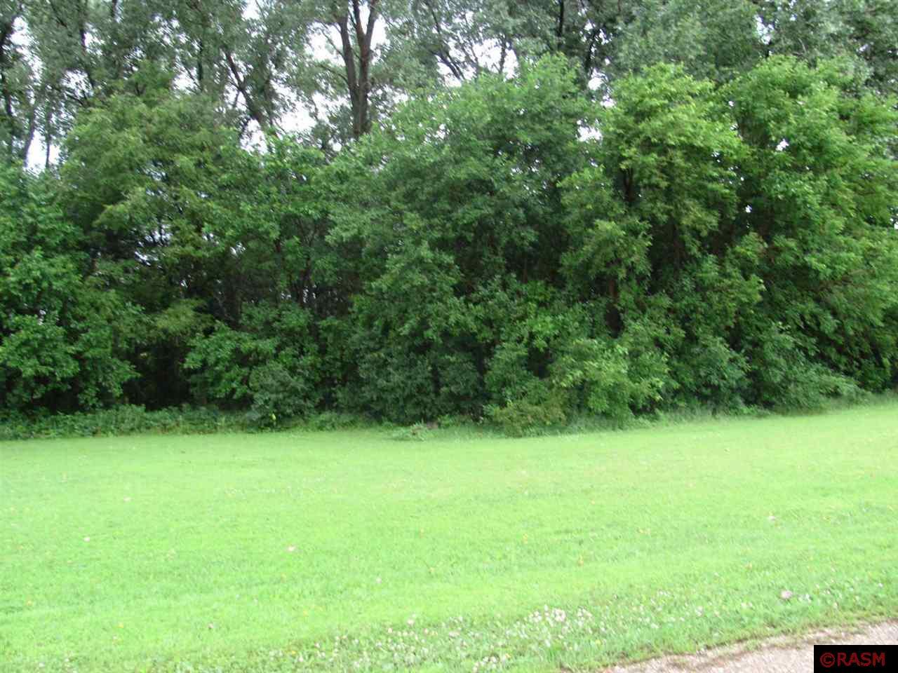 TBD S Third Street Butterfield MN 56120 7038052 image5