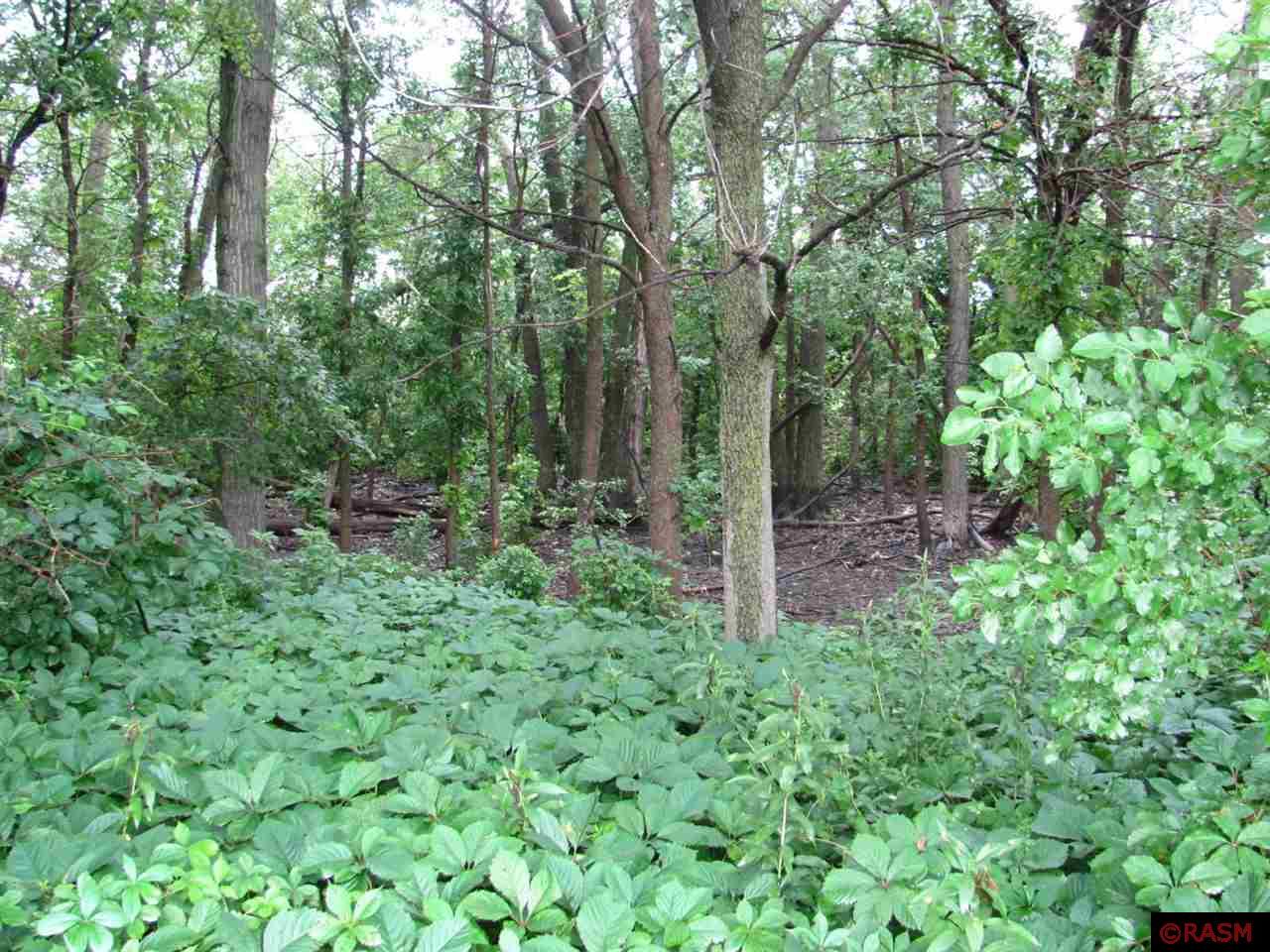 TBD S Third Street Butterfield MN 56120 7038052 image6