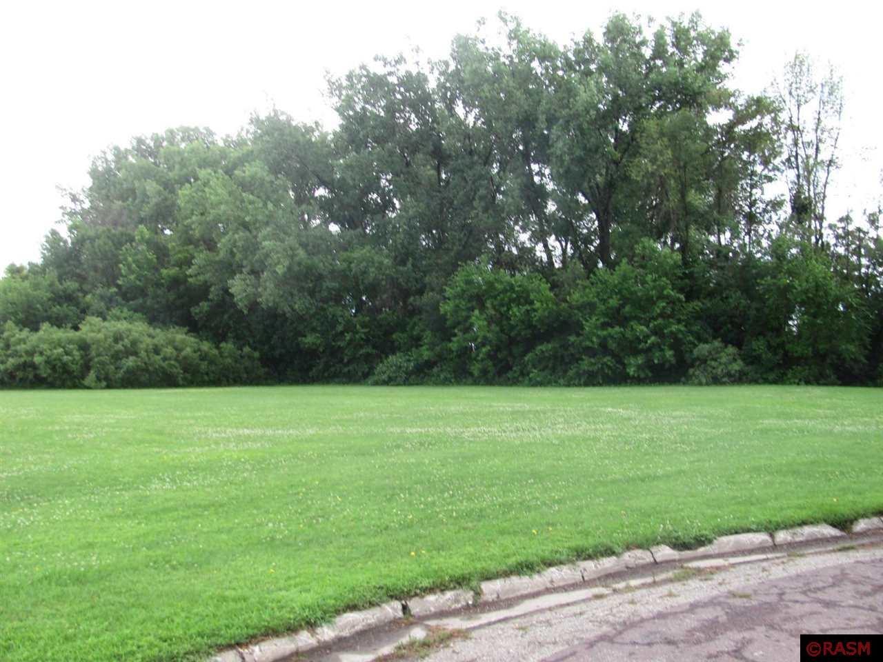 TBD S Third Street Butterfield MN 56120 7038052 image7