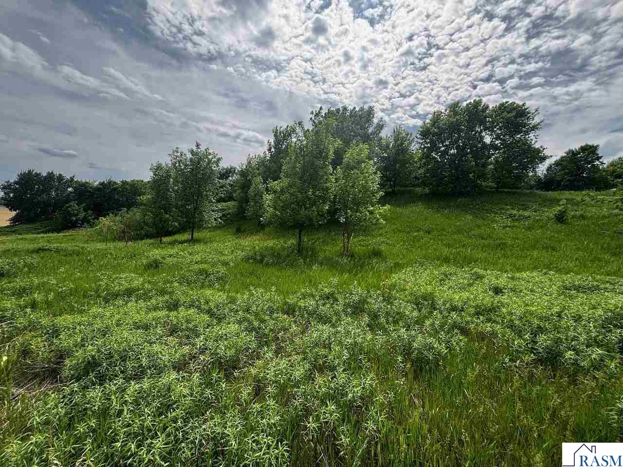 TBD State Hwy 22 Highway Saint Peter MN 56082 7040444 image3