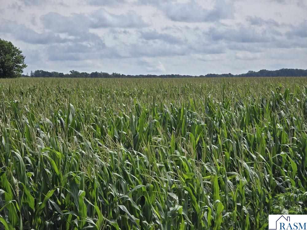 XXX 490th St. Fairfax MN 55332 7038269 image1