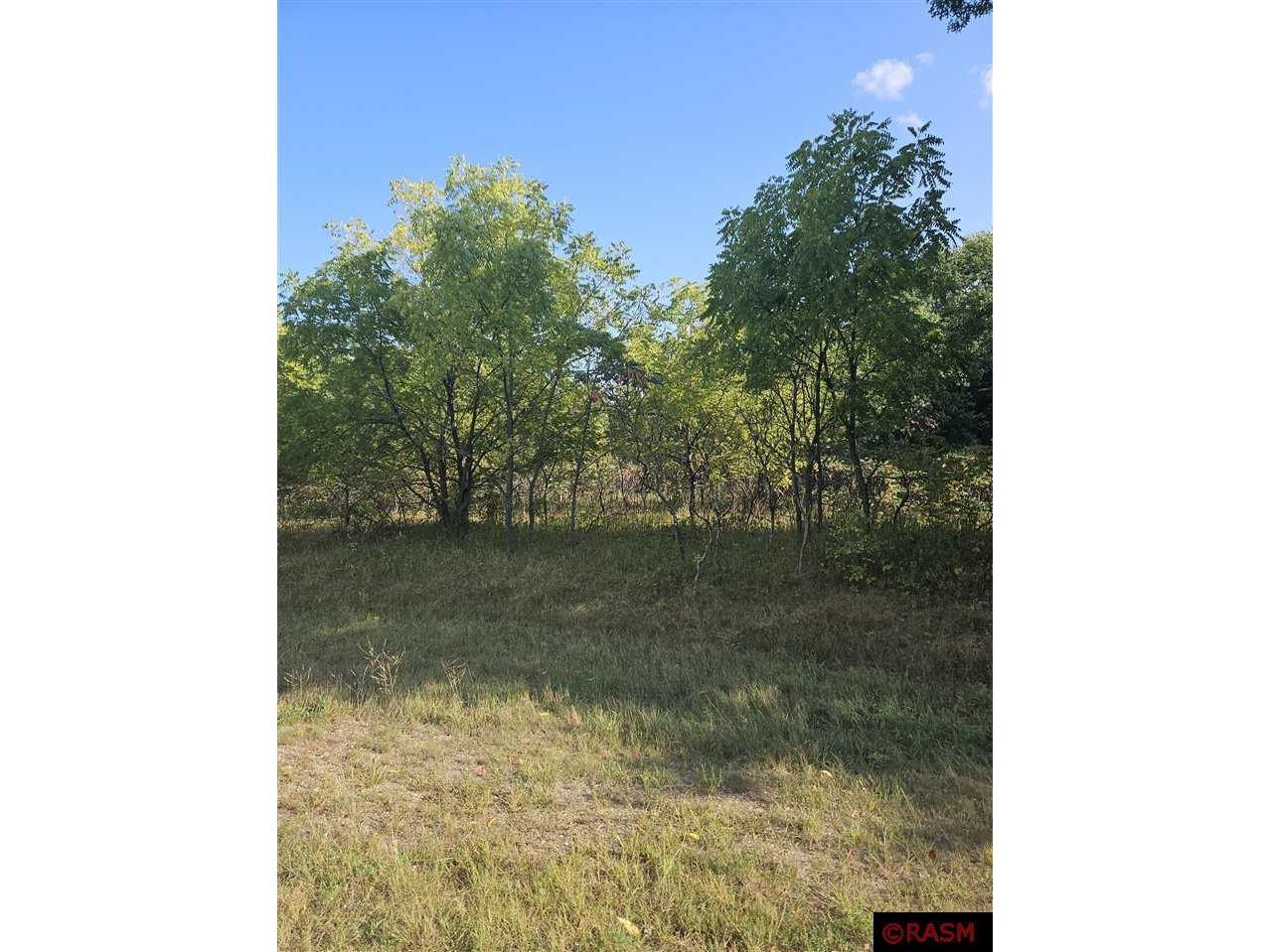 XXXX 675th St Wabasha MN 55981 7033356 image1