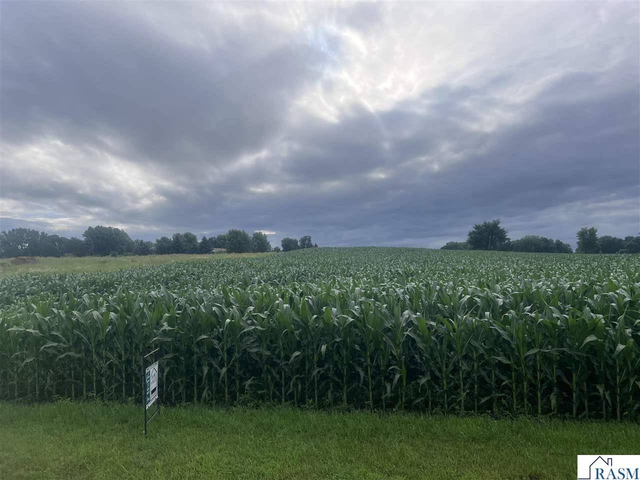 tbd 247TH Avenue Cleveland MN 56017 7038037 image1