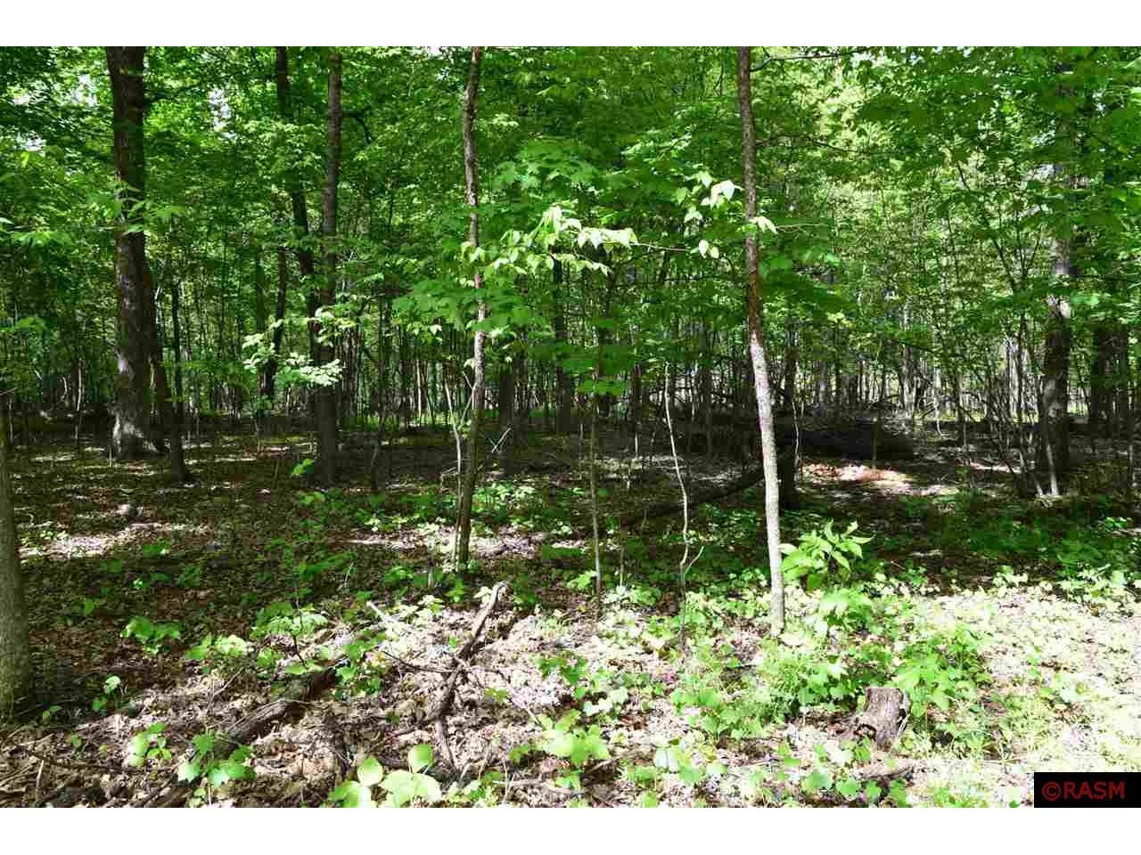 tbd Hill Top Lane Nicollet MN 56074 7029894 image1