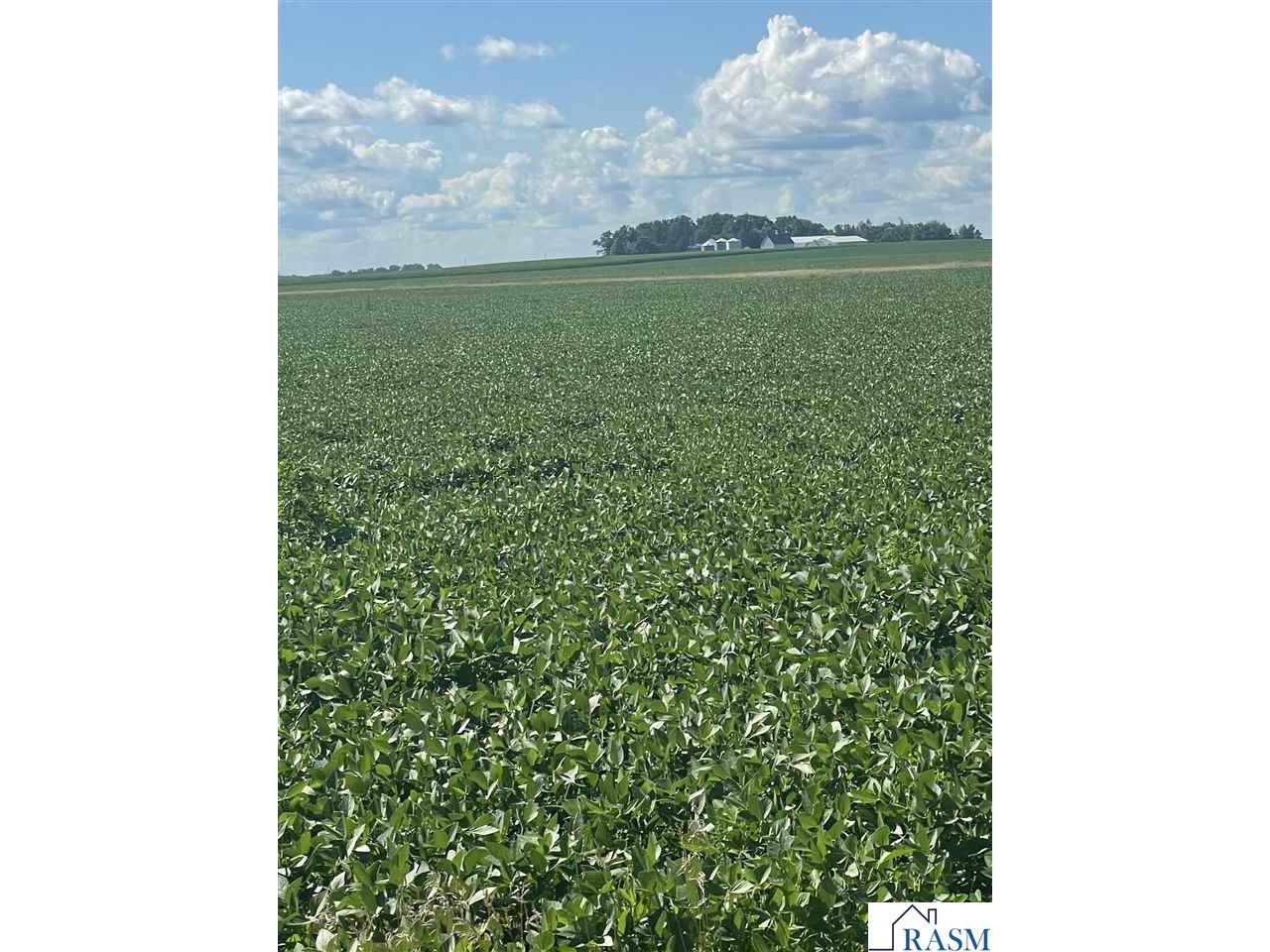 xxx 437th Avenue Delavan MN 56023 7038187 image1