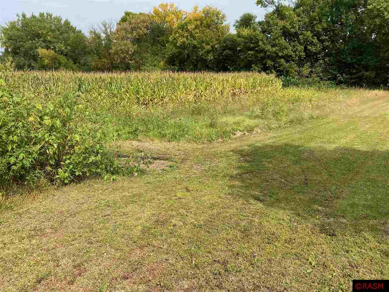 xxxx Lewis Lane Elysian MN 56028 7025386 image1