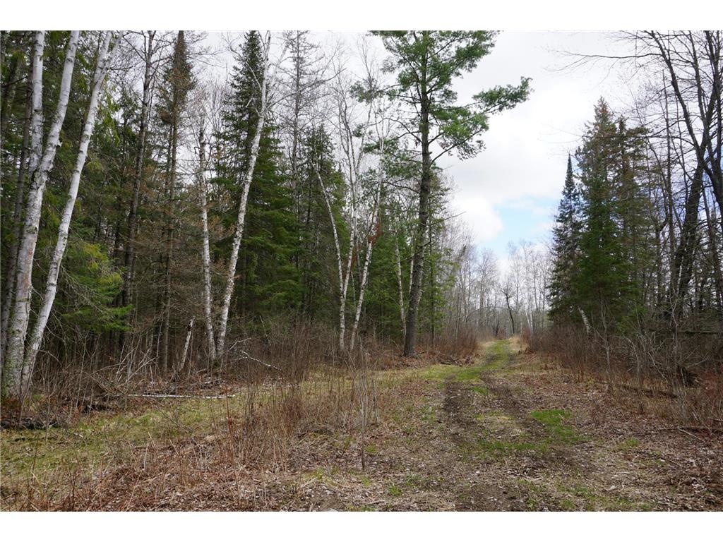 *** 240th Avenue Verdon Twp MN 55752 6538375 image1