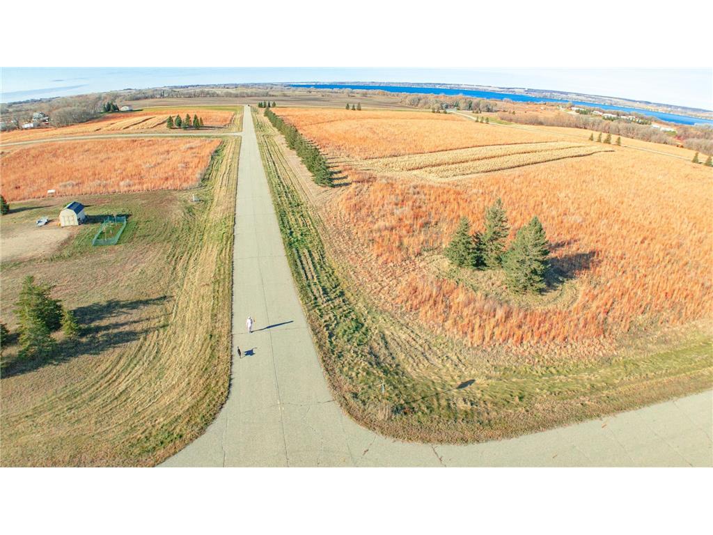 - Co Rd 18 Glenwood MN 56334 6816893 image11