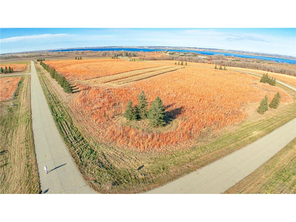 - Co Rd 18 Glenwood MN 56334 6816893 image12