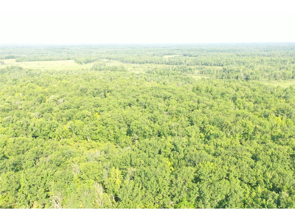 ** Condor Arna Twp MN 55072 6595279 image1