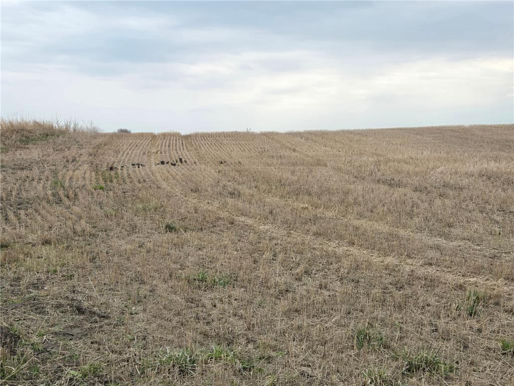 (LOT A) TBD 100th Avenue Norwegian Grove Twp MN 56514 6711915 image6