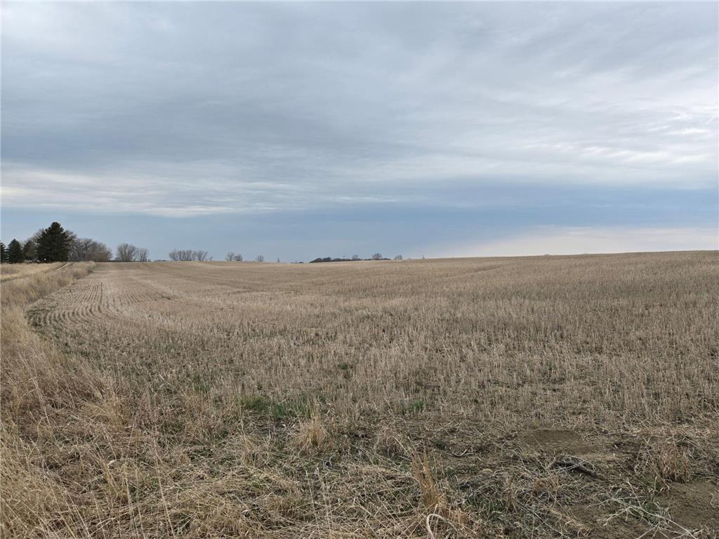 (LOT A) TBD 100th Avenue Norwegian Grove Twp MN 56514 6711915 image7