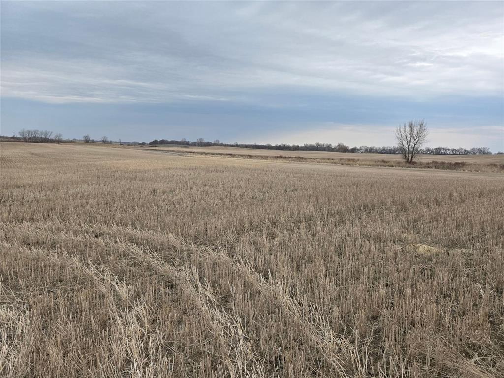 (LOT A) TBD 100th Avenue Norwegian Grove Twp MN 56514 6711915 image8