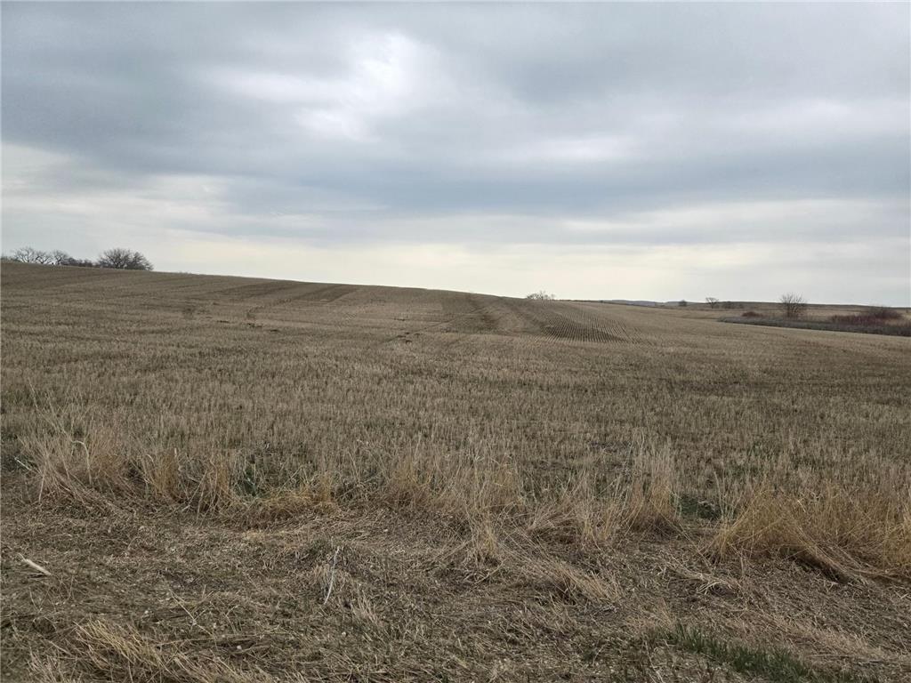 (LOT A) TBD 100th Avenue Norwegian Grove Twp MN 56514 6711915 image9