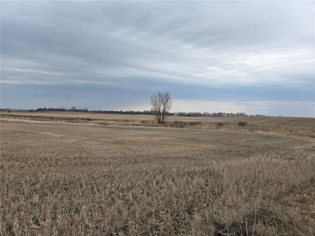 (LOT B) TBD 100th Avenue Norwegian Grove Twp MN 56514 6711934 image4