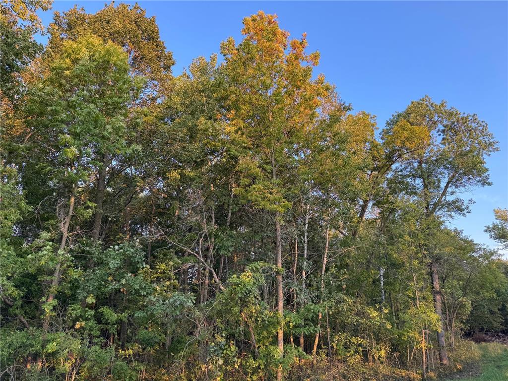 (Lot 1) TBD NE Rock Lake Road Rochert MN 56578 - Rock 6785085 image15