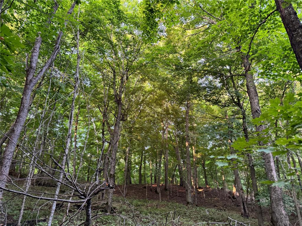 (Lot 1) TBD NE Rock Lake Road Rochert MN 56578 - Rock 6785085 image24